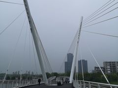 -映月湖中央公园