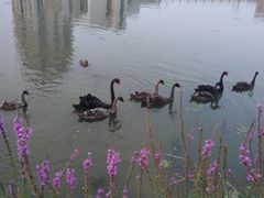 -江南大学(蠡湖校区)