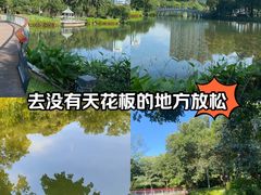 -四海公园(南山区)