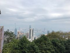 -翠华餐厅(山顶道店)