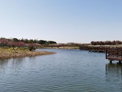 -上海海湾国家森林公园