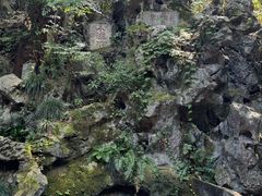 -龙井壹号·茶缘山景宴(龙井村店)