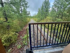 -莫尔道嘎国家森林公园