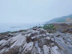 -盐洲岛