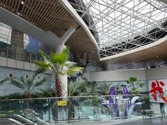 -麦当劳(鄂尔多斯机场店)