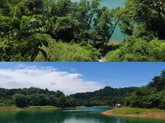 -桤木河湿地公园