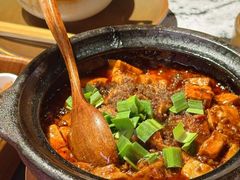 -陈麻婆豆腐(旗舰店)