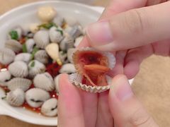 血蛤-揭阳钟记小食(福田新村店)