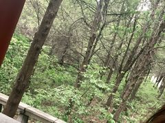 -青州市云门山风景区