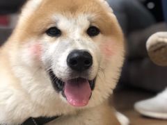 -YCHL Studios健身工作室(市二宫店)