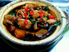 黄焖鸡米饭-中央财经大学-食堂