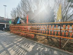 -西塔
