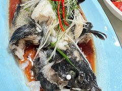 清蒸龙胆鱼-阿里元老宋海鲜大排档(明发店)
