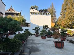-龙华寺