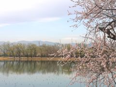 -颐和园