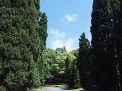 -上海滨江森林公园