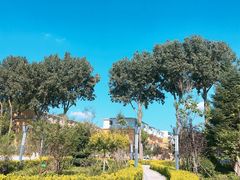 -吉林大学(前卫南区)