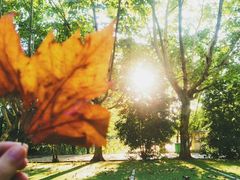 -品腐记·豆腐王朝(老门东总店)