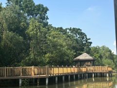 -大湾区中央湿地公园