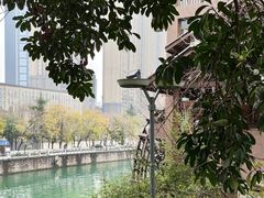 -成都市活水公园