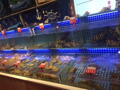 -必点海鲜·鲅鱼水饺(鞍山西道店)