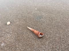 -万尾金滩