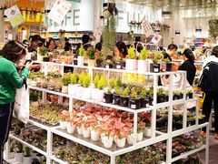 -KKV(深圳宏发大仟里店)