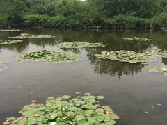 -白马涧龙池景区