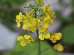 -菁汇公寓