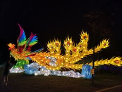 -昆山城市生态森林公园