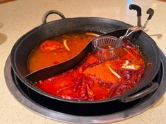 -朱光玉火锅馆(龙阳广场店)