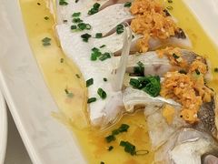 -饭怕鱼·黄焖鲟龙鱼(湖大店)