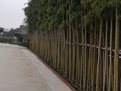 -清凉寺