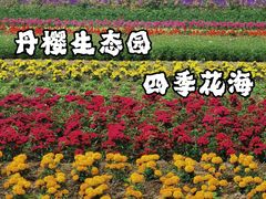 -丹樱生态园