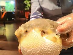 -肆月河豚·淮扬菜·湘菜(华天店)