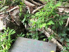 -海南热带雨林国家公园吊罗山景区