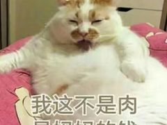 -7分甜(苏州中心店)