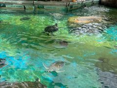 -海合安成都极地海洋公园