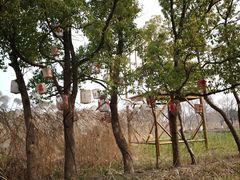 -长田漾湿地公园