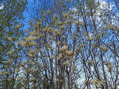 -天津东丽湖风景区