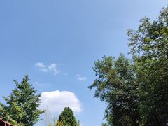-雅安上里古镇