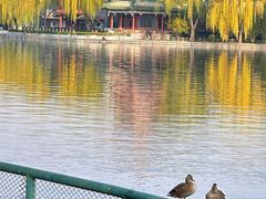 -后海公园