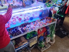 -山东柏宁水族批发广场