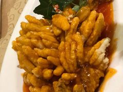 松鼠桂鱼-大鸭梨烤鸭(左家庄店)
