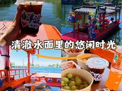 -白洋淀景区