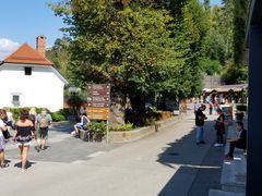 -波斯托伊纳溶洞