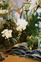 -南昌喜来登酒店·宴会厅