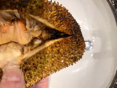 -鸿港海鲜批发市场