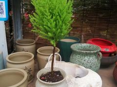 -秦美花卉(天朗·莱茵小城2期店)