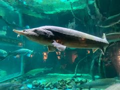 -华夏文旅海洋公园